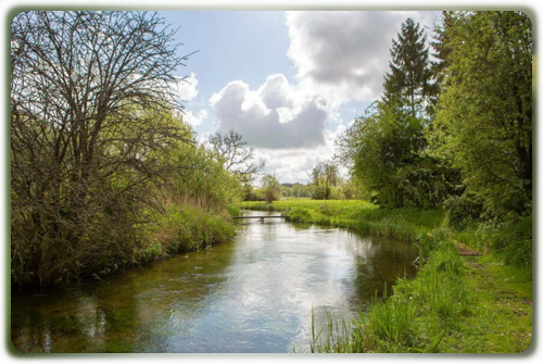 Dever, Bransbury Mill