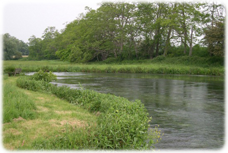 Test, Broadlands