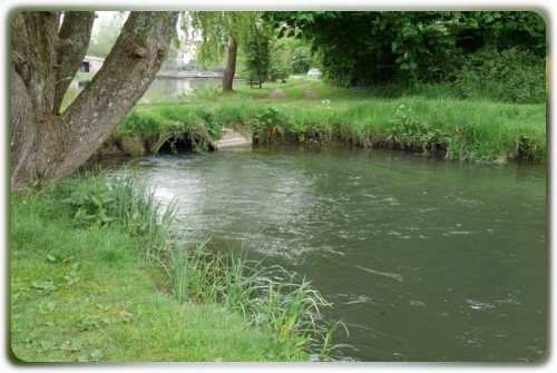 Avon, Bickton Mill Syndicate
