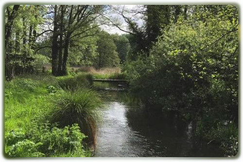 Itchen, Easton Carrier