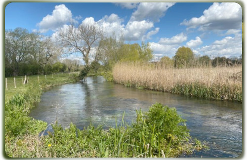 Itchen, Lower Bishopstoke Fishery
