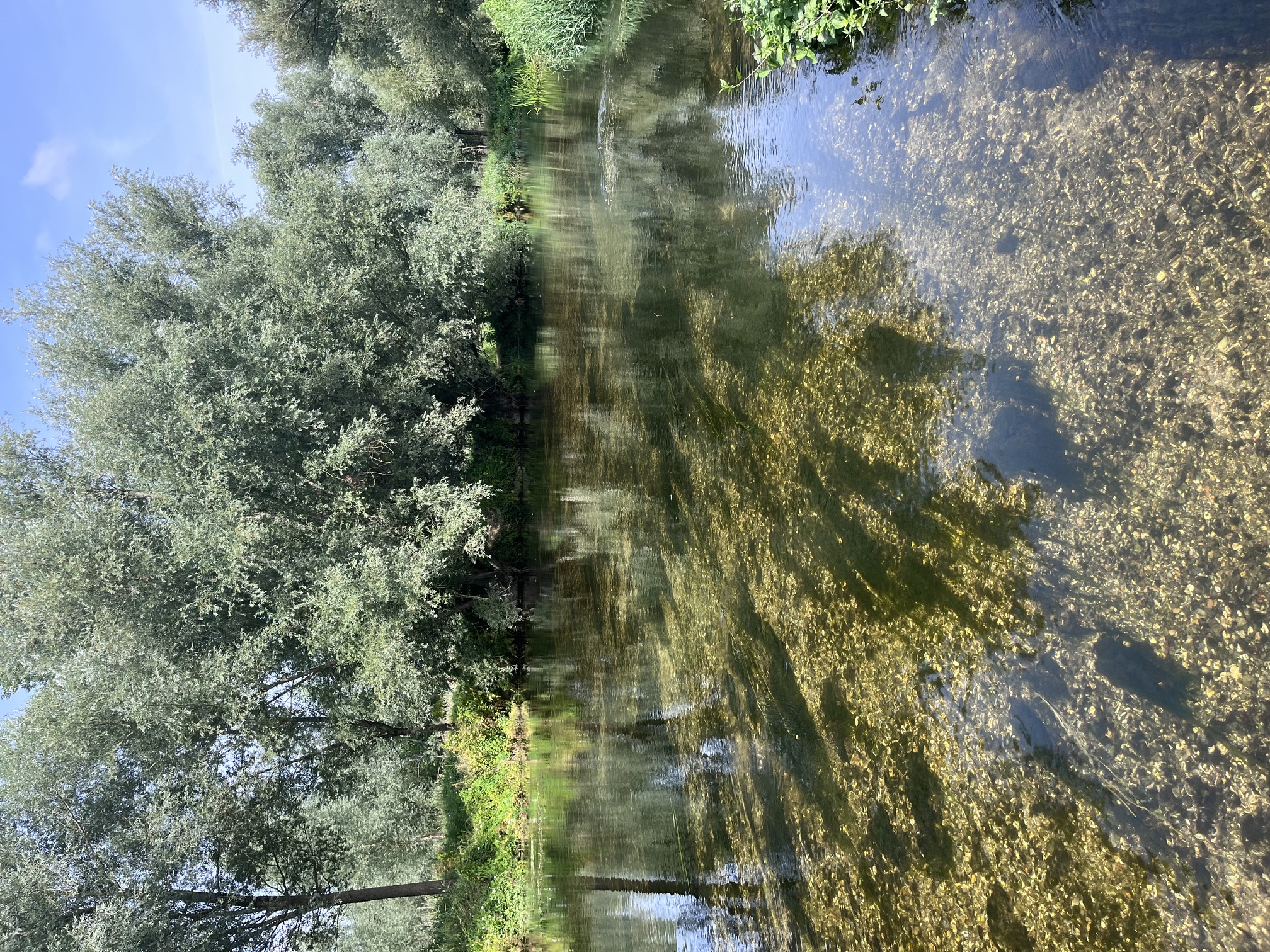 Avon, Longford Castle