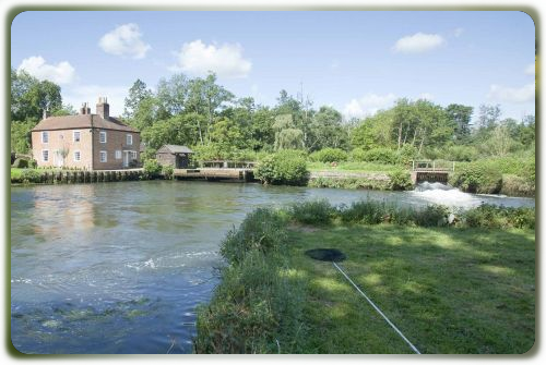 Test, Nursling Trout